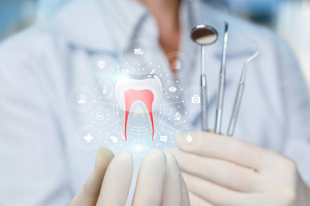 Best Preventive Dentistry  in Elk Mound, WI